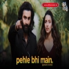 PEHLE BHI MAIN (Gravero Revibe) VISHAL MISHRA  ANIMAL - AfterRemix