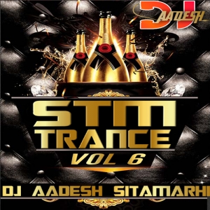 Goli Chal Javegi Haryanvi Remix - Dj Aadesh Sitamarhi