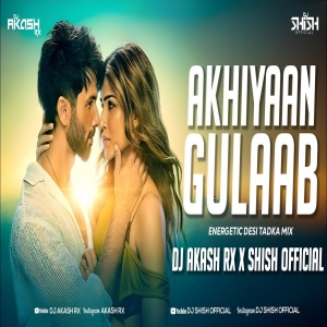Akhiyaan Gulaab - Energetic Desi Tadka Mix - Dj Akash Rx & Dj Shish Official