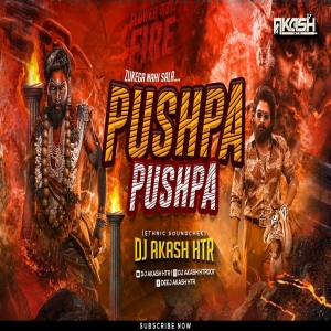 Pushpa Pushpa _ Sound Check _ Pushpa 2 Title Song _ DJ AKASH HTR